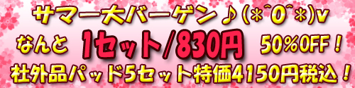 �X�����_�[�g�[���p�b�h �T�}�[��o�[�Q��������