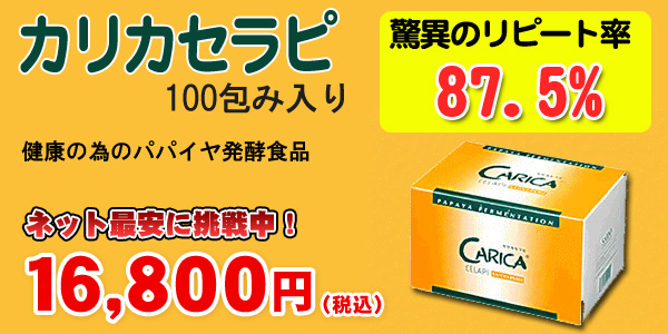 カリカセラピ100包み激安♪